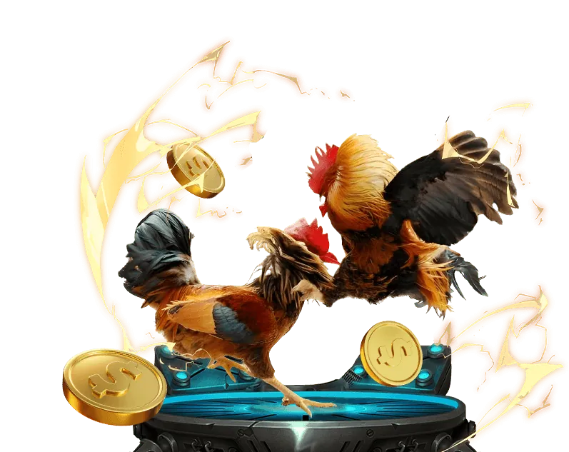 Hướng dẫn cá cược đá gà app sunwin